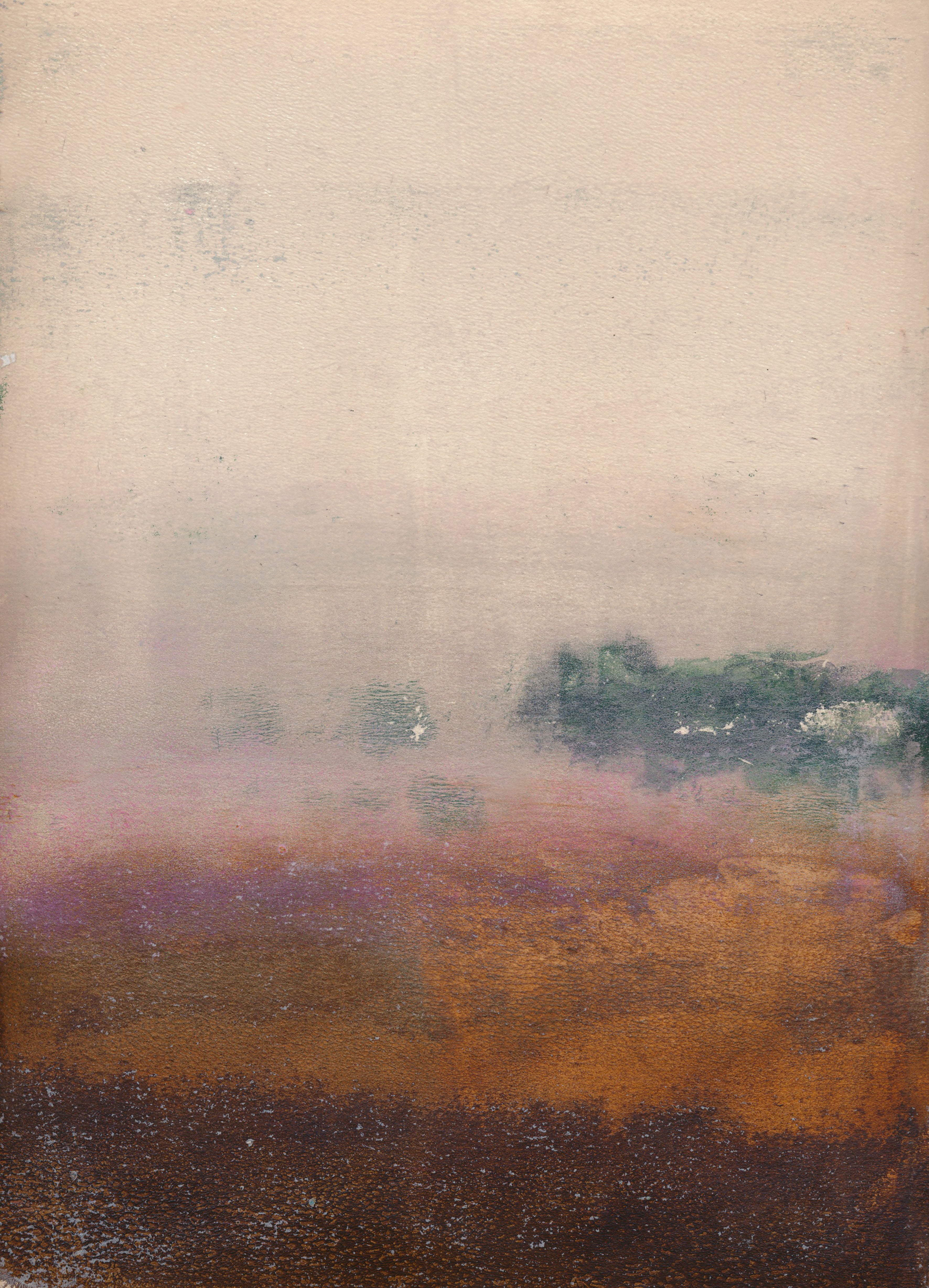 Art Print - 'Forest Veil'